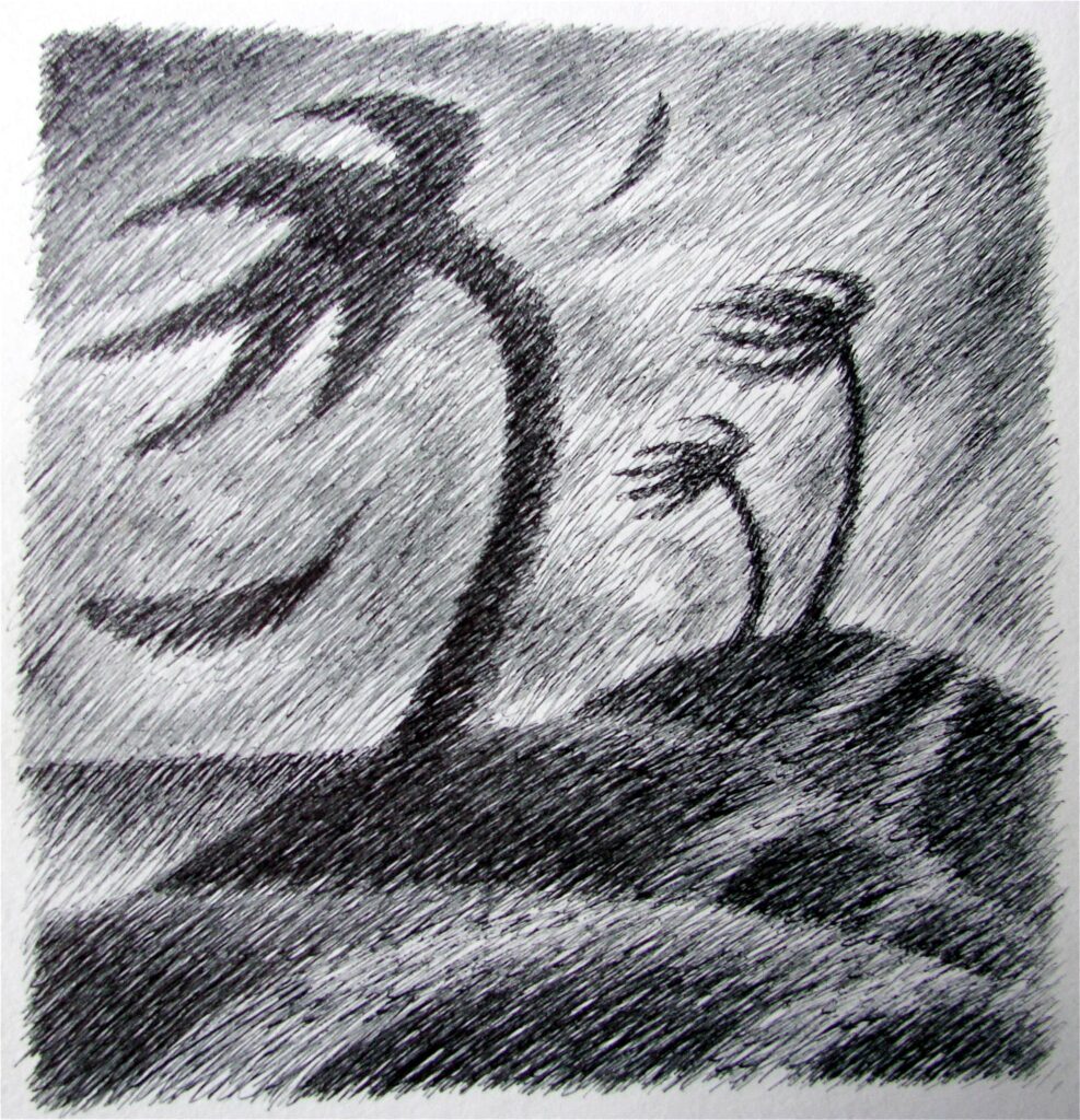 Black White Drawing Workshop 1